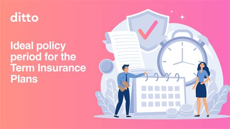 Policy & Terms .